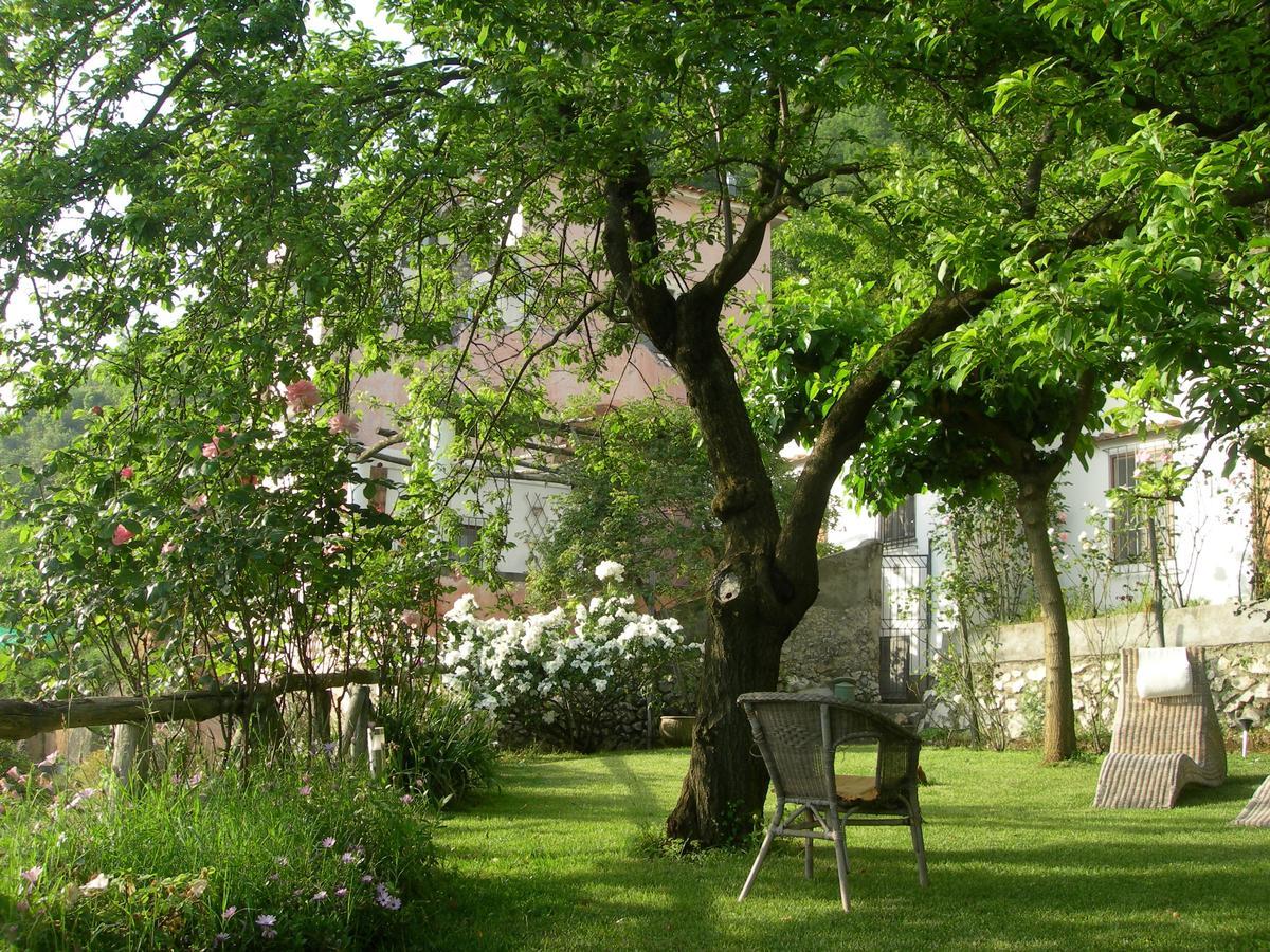 Pietra Rosa Bed and Breakfast Tramonti Exteriör bild