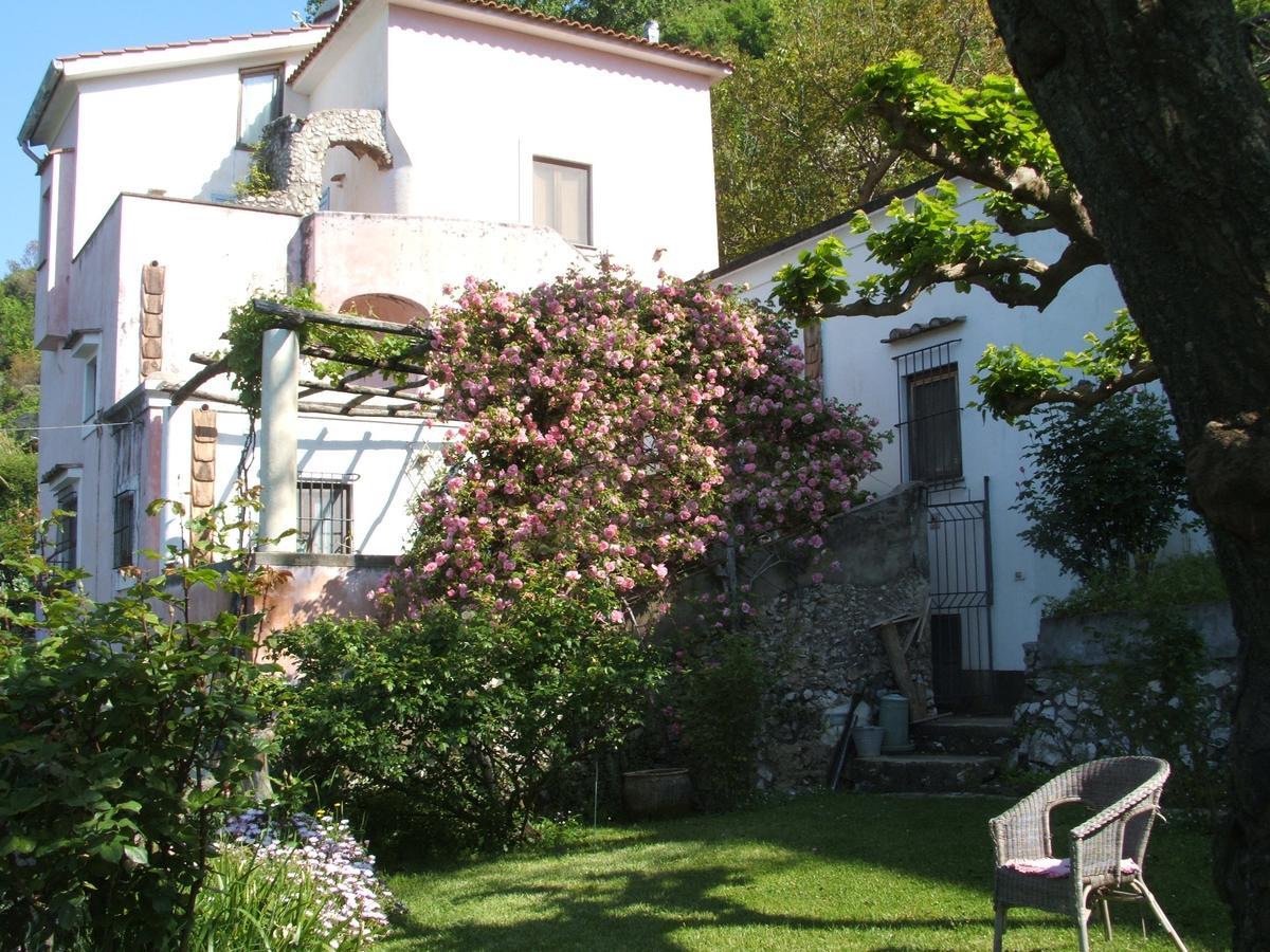 Pietra Rosa Bed and Breakfast Tramonti Exteriör bild