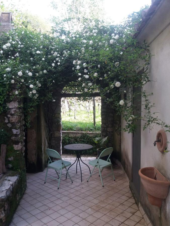 Pietra Rosa Bed and Breakfast Tramonti Exteriör bild